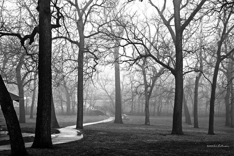 The path leads to a bridge and then into the fog.
An image may be purchased at http://edward-peterson.artistwebsites.com/featured/winter-fog-edward-peterson.html