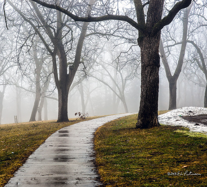 One of those cold foggy days and you are the only one in the park. It is silent except for the sounds of the crows and you know just over this crest are two secret agents exchanging information and they both have guns.
An image may be purchased at http://edward-peterson.artistwebsites.com/featured/a-walnut-grove-walk-edward-peterson.html