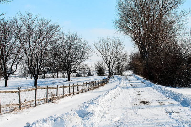 There is nothing like a bright sunny morning after a late winter snow storm to have the beauty of mother nature come out. A long lane up to a farm house can really standout.
An image may be purchased at http://edward-peterson.artistwebsites.com/featured/winter-farm-lane-edward-peterson.html