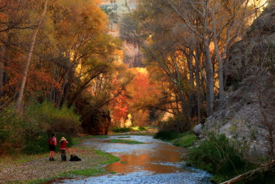 Aravaipa Canyon Fall Colors