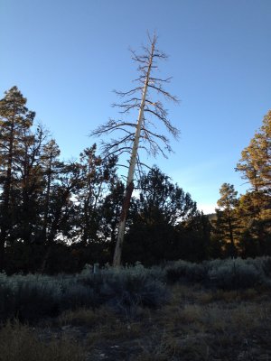 2012-11-21 16:17