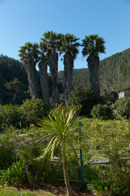 L5005182.jpg