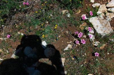 L5005207.jpg