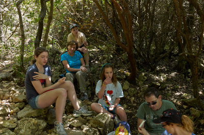 L5005214.jpg