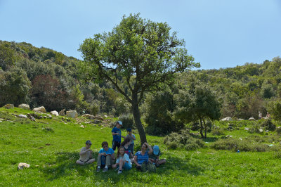 L5005235.jpg