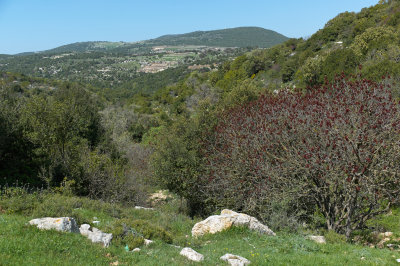 L5005243.jpg