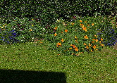 L5005453.jpg