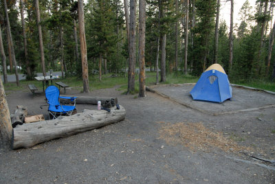 Yellowstone National Park 2008