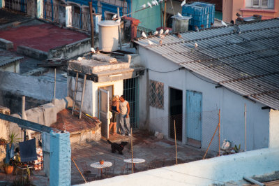 Morning GreetingHavana, Cuba - May 2012