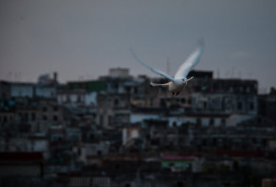 Evening Flight Havana, Cuba - May 2012