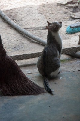 -My Turn?- Cuba - May, 2012