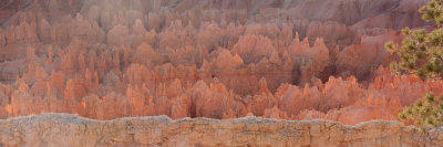 Backlit Hoodoos