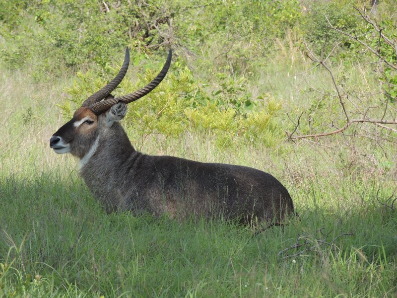 DSCN6759.JPG