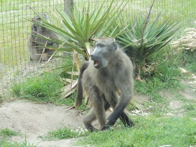 DSCN5352.JPG