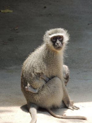 DSCN6016.JPG