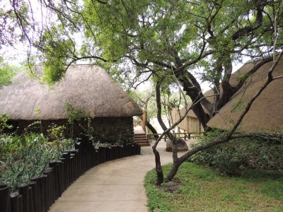 DSCN6025.JPG
