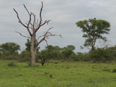 DSCN6117.JPG