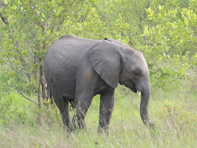 DSCN6139.JPG