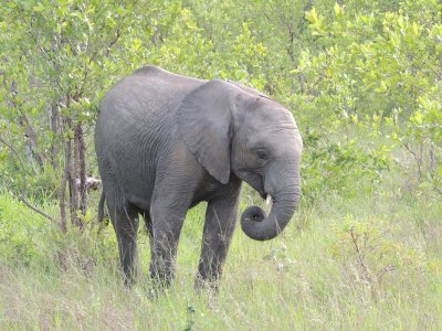 DSCN6140.JPG