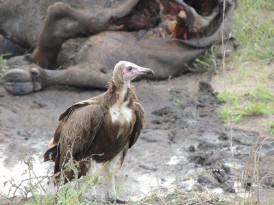 DSCN6546.JPG