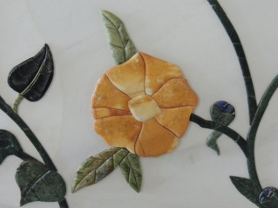 DSCN6935.JPG