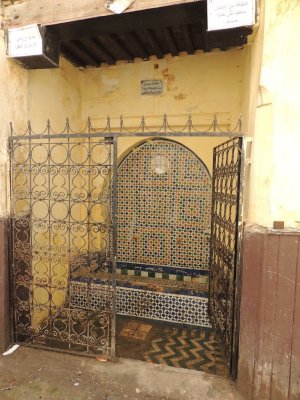 DSCN7995.JPG