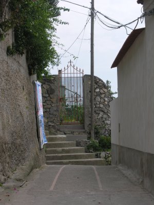 g2/61/338261/3/65701054.U8FYqa5J.jpg