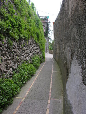 g2/61/338261/3/65701080.sCO40Vmx.jpg