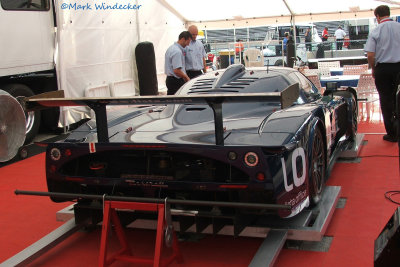 GT1 Doran Racing MASERATI MC12