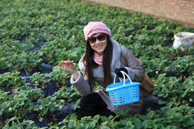 Strawberry Picking & Botanic Garden During CNY 2013-10.JPG