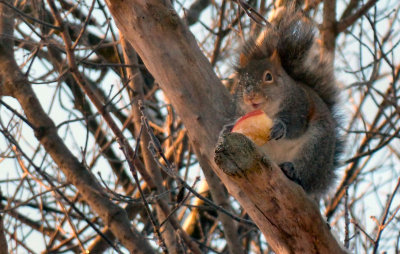 Yum! This is tasty! 