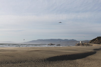 sf2013