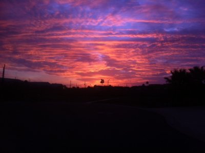 sunset2.jpg