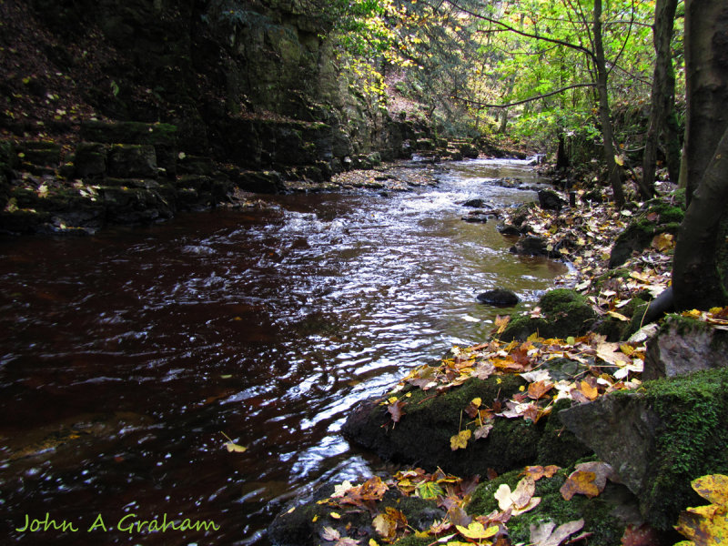 Autumn stream