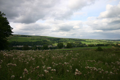 How green is my valley?