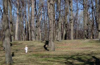 Little Boy and the Big Woods