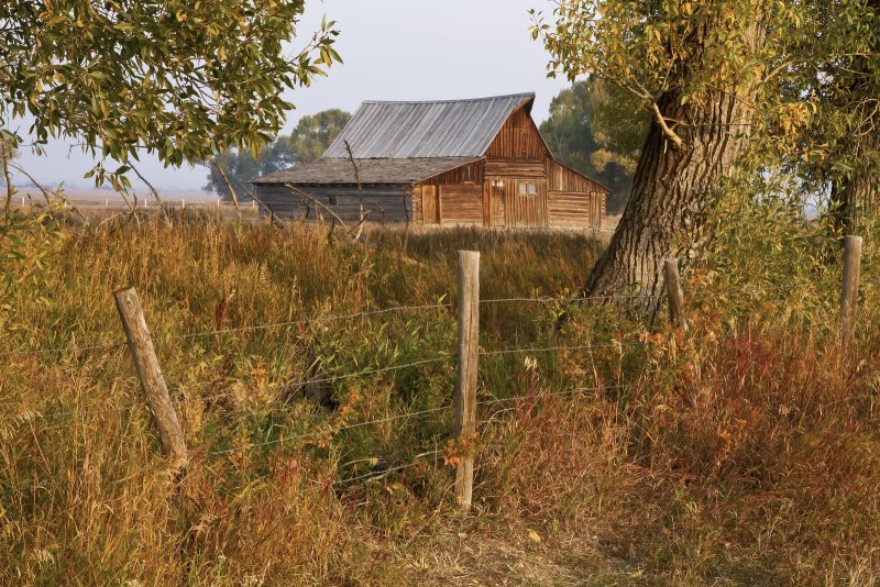 Barn3-120921-080243-00.jpg