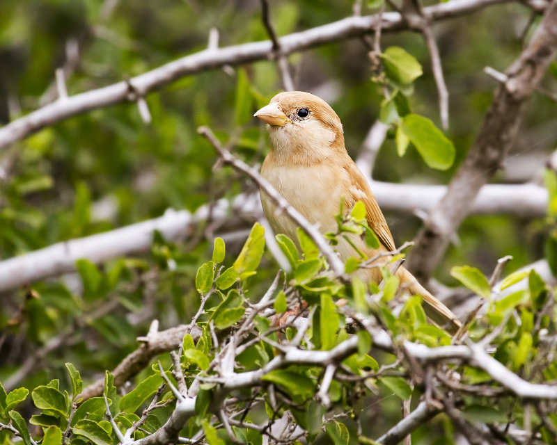 EYGSP-20121115-100400-14.jpg
