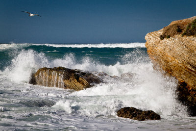 Santa Barbara Area
