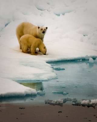 Svalbard