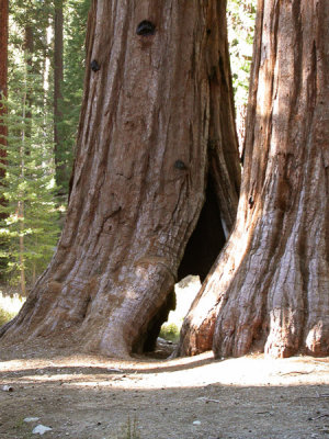 Yosemite