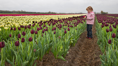Netherland