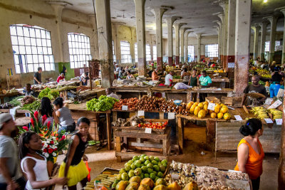 Farmer's Market (1)