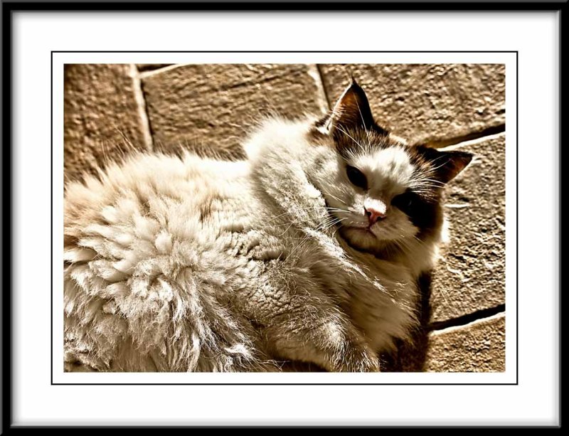 relaxing in the sun...