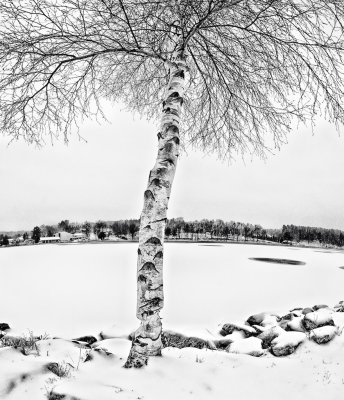 Wolfeboro first snow.