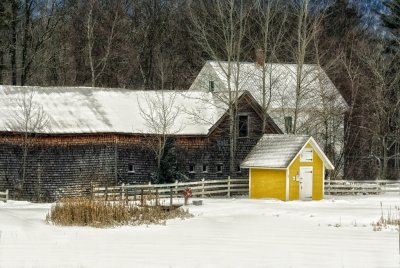 On a cold morning in Tamworth NH.