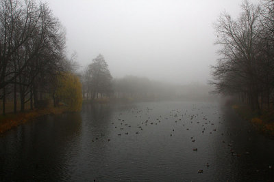 Lazienki Palace vanishing in the fog