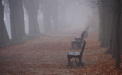 Autumn sceneries 2012 ll - in the fog