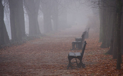 Alley in Park disappearing in fog