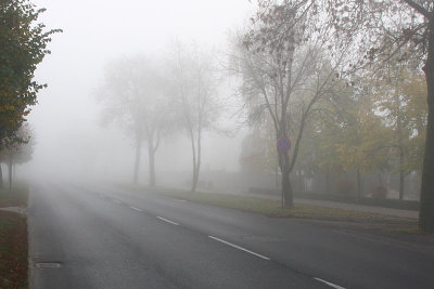 Road disappearing in fog